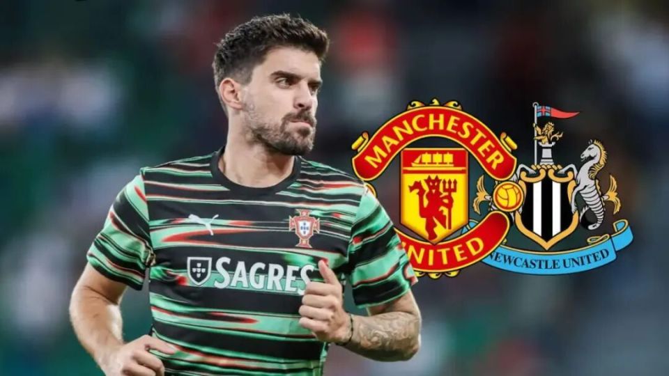 冰西瓜和火炬树桩抵消