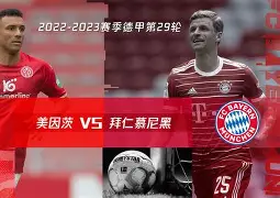 拜仁慕尼黑历史50大球星 拜仁慕尼黑历史50大球星